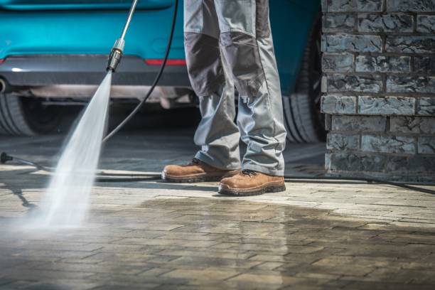 Best Pre-Holiday Cleaning  in Palm Shores, FL