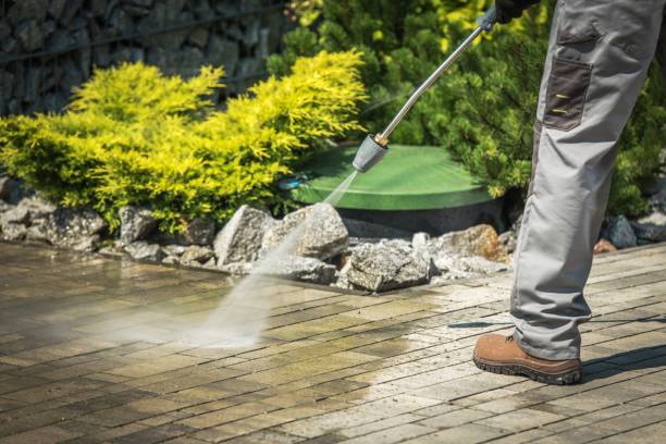 Best Solar Panel Cleaning  in Palm Shores, FL