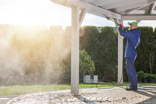 Best Paint Preparation  in Palm Shores, FL